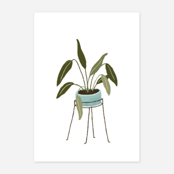 poster-vaso-com-planta-othala