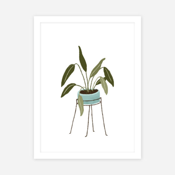 poster-vaso-com-planta-othala